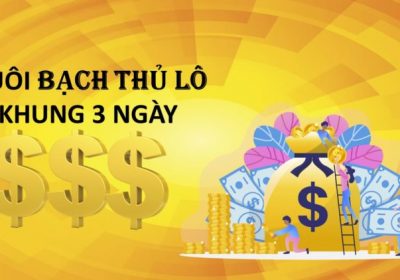 Cách nuôi lô bạch thủ khung 3 ngày chính xác 90%